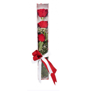 Kutuda Kırmızı Güller (3'lü - ~48 cm)